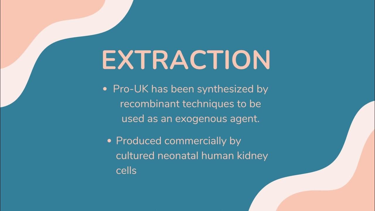 Urokinase Group Assignment Enzyme (Brian's Group) YouTube