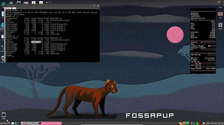 fossapup64 9.5 - Installation in VirtualBox