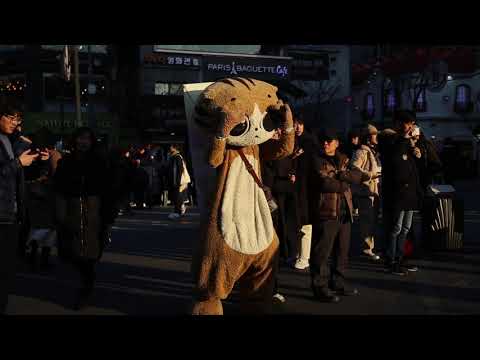 JHKTV] 신촌 명물고양이눈이부시다  shin chon special <strong>cat</strong>  to <strong>be</strong> dazzling