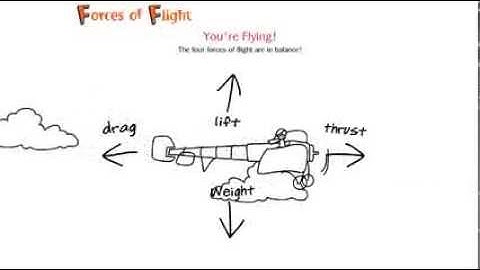 Forces of Flight