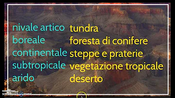 Dove si trovano le praterie e steppe?