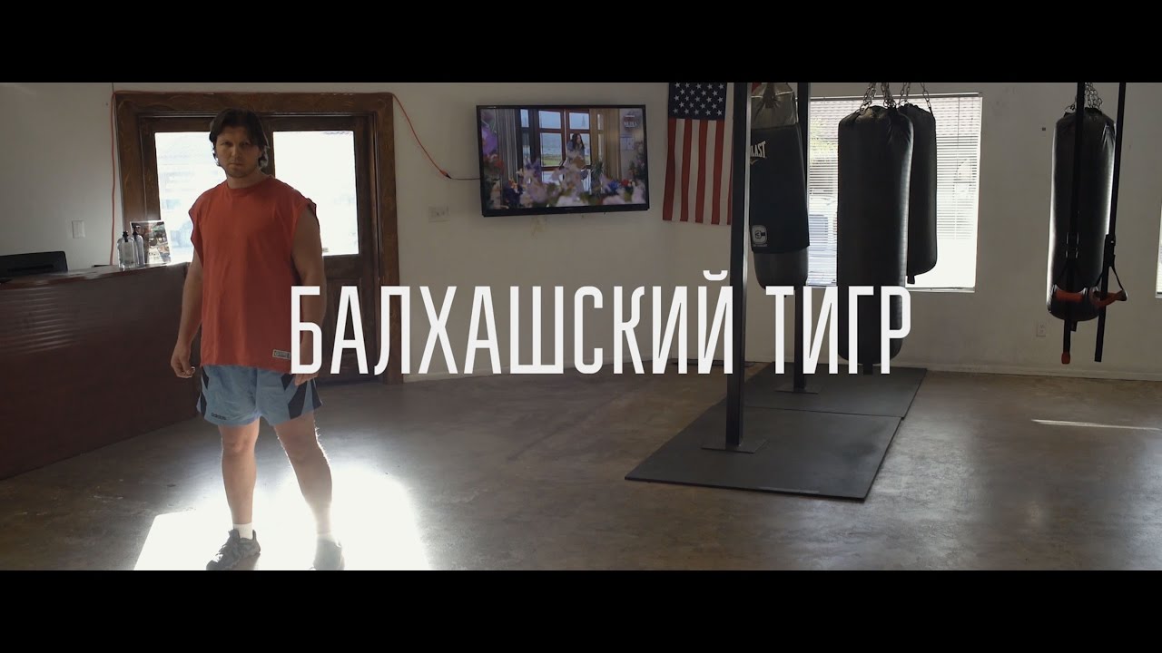 Балхашский тигр | Василий Жиров