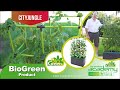 Make your urban jungle come alive with the bio green city jungle gardening system