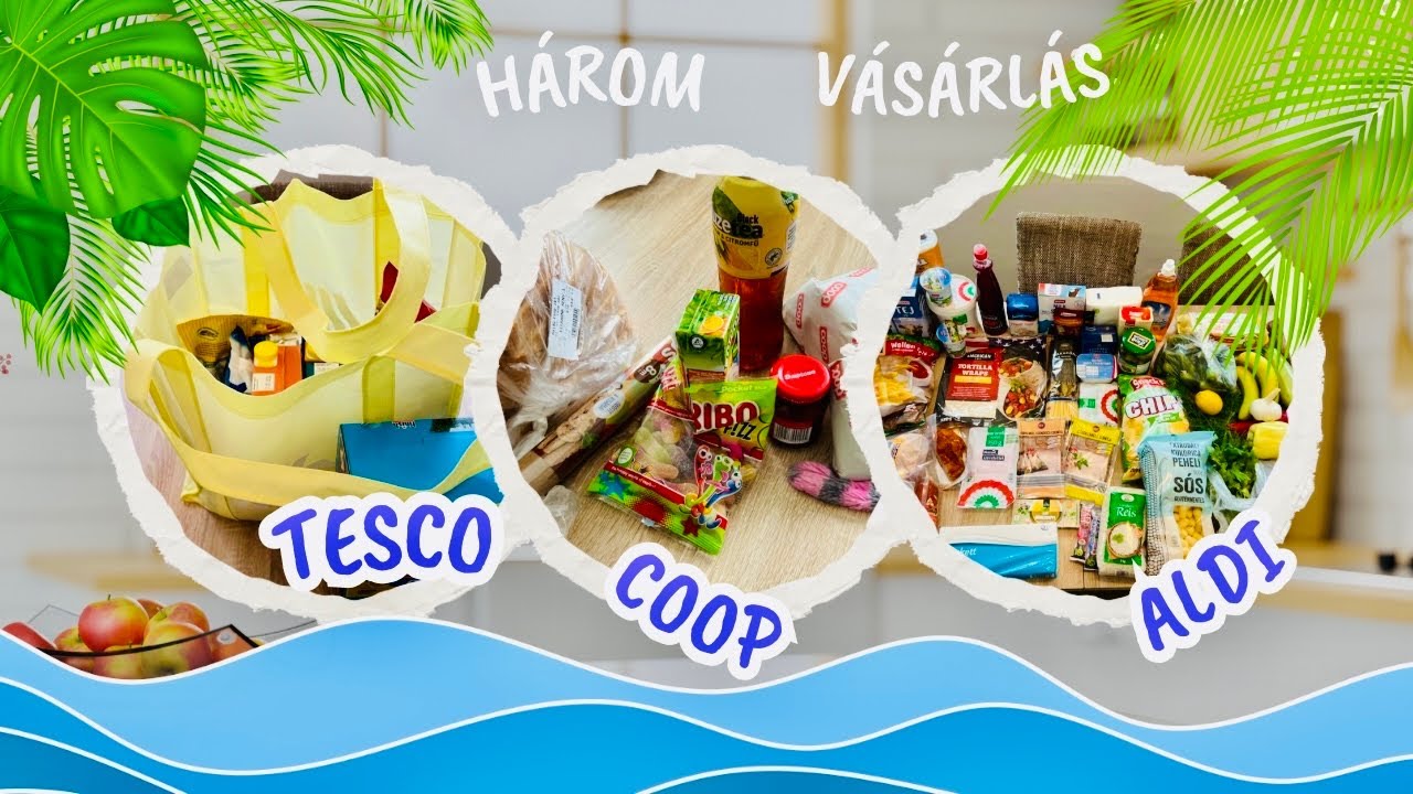 2 Mini Bevásárlás és ALDI bevásárlás egy hétre/2023 június/
