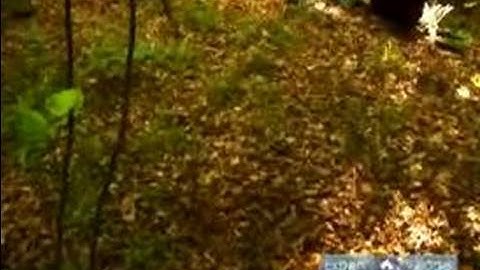 How to Set Up a Campsite : Check the Surface of the Ground to See if It