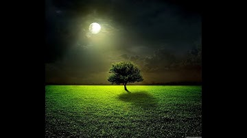 سورة القصص  (الحزب 40) القارئ علي بن عبدالرحمن الحذيفي