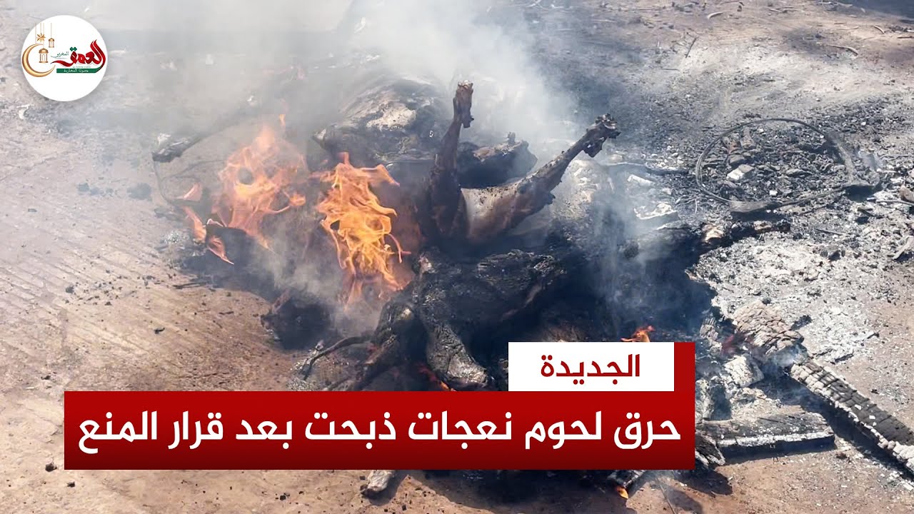حـ.ـرق لحوم ثمان نعجات بعد مصادرتها من جزارين بالجديدة خالفوا قرار منع ذبـ.ـح إناث الأغنام والماعز