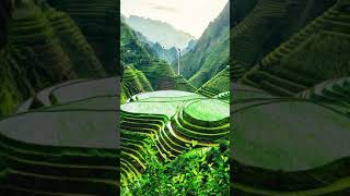 Video background pemandangan alam no copyright