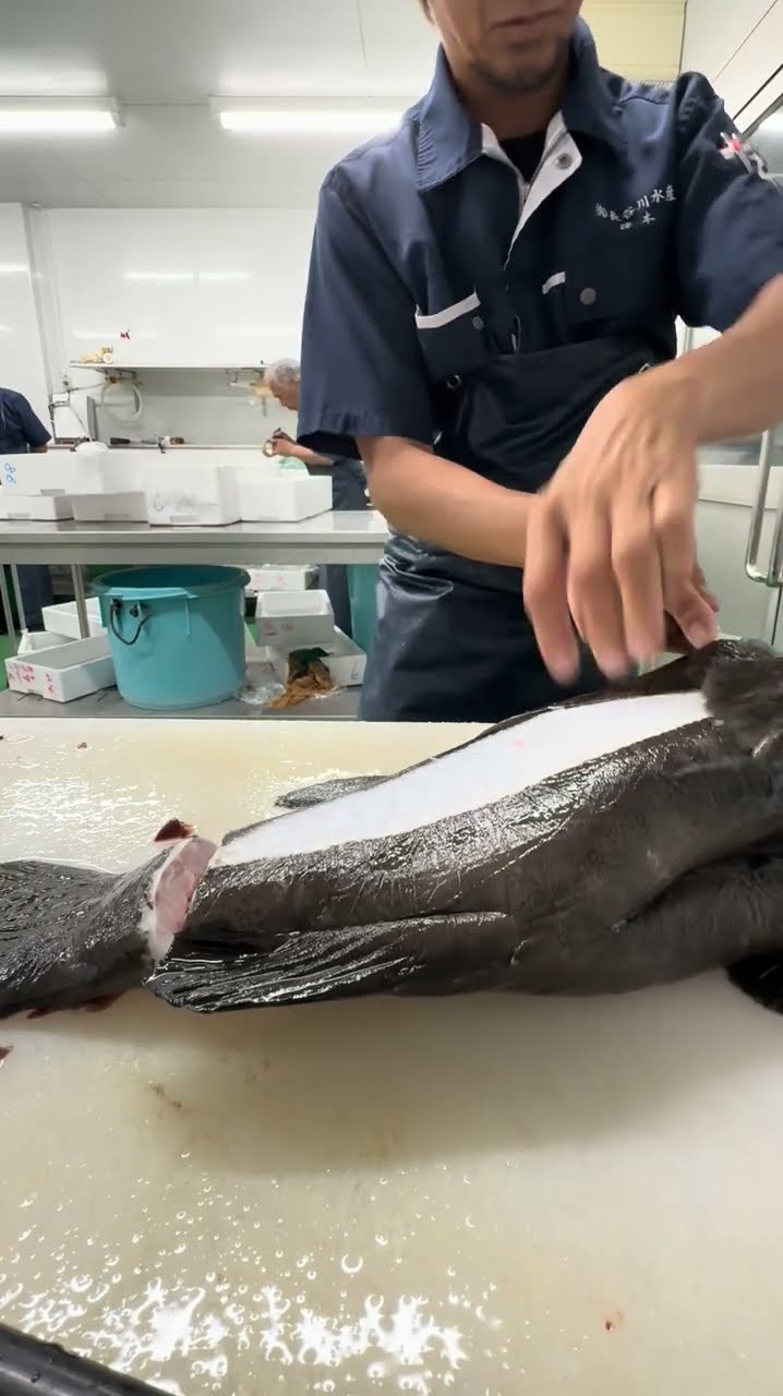 究極の血抜きフルセット □中古美品 津本式 究極の血抜き セット（魚食文化に一石を投じ