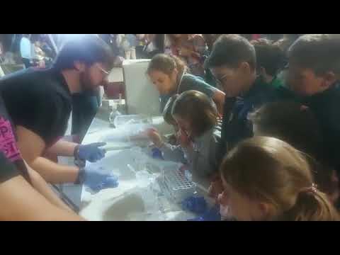 La Noche de l@s Investigador@s, en las carpas de la Avenida de Andalucía, abarrotadas.