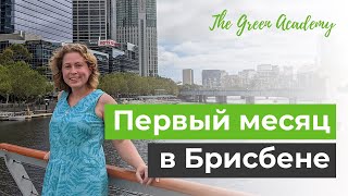 видео: Первый месяц в Брисбене картинка: Первый месяц в Брисбене