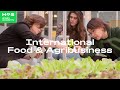 International food  agribusiness  bachelor programme has green academy