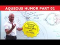 Aqueous Humor - Production, Circulation & Drainage part 1/2