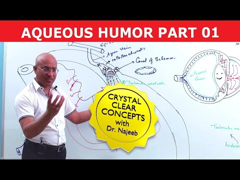 Aqueous Humor - Production, Circulation & Drainage part 1/2