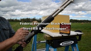 Ammo Test! 12 Gauge BB - Federal Black Cloud Steel