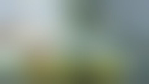 การ ต น ครอบคร ว ม หลายส เป นครอบคร ว