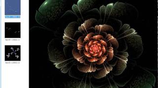 Flower fractal flame