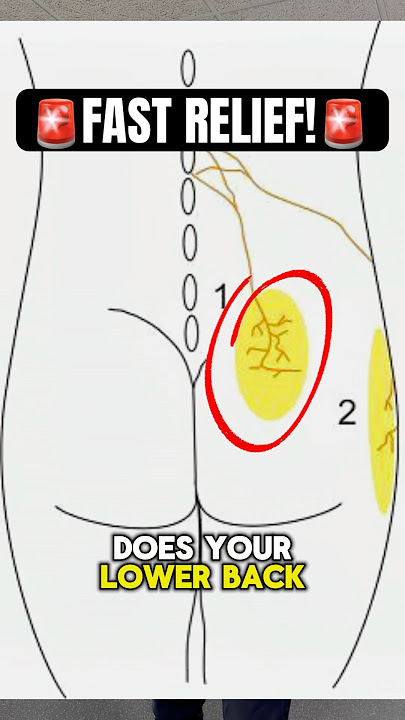 Relieve Lower Back Pain #shorts #backpainrelief #healthtips