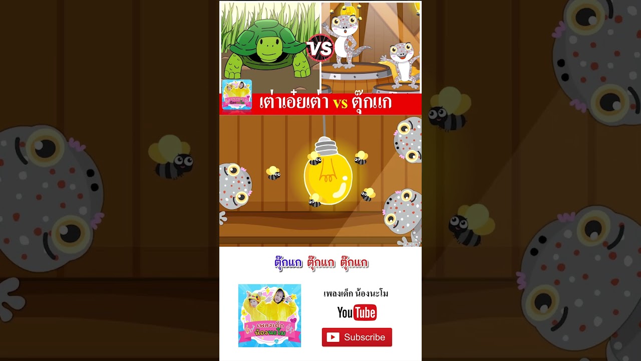 เต่า vs ตุ๊กแก