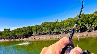 Absolute INSANITY!! - Tropical Estuary Fishing!