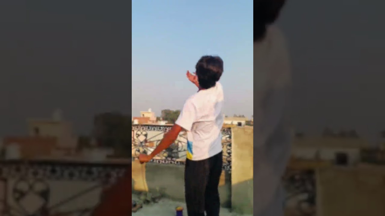 kite flying black eyes + sarkari ban 