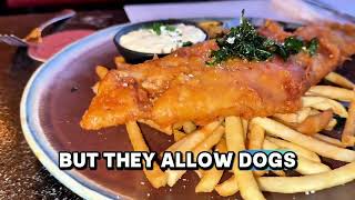 Dog day visting all the top dog friendly spots in Long beach ca🏝️