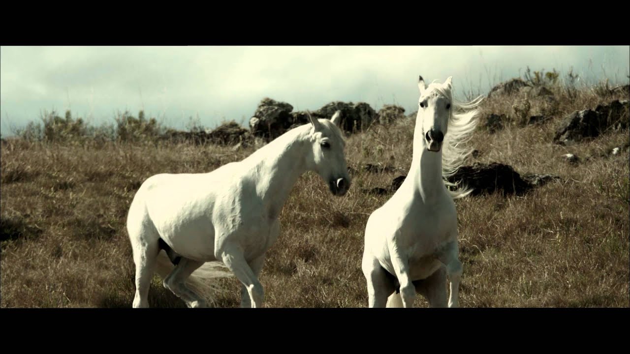 Horses song. Финал белой лошади.