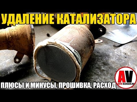 Удаление катализатора: ПЛЮСЫ и МИНУСЫ, РАСХОД, МОЩНОСТЬ, ПРОШИВКА (ЕВРО2)