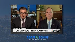 Rep. Schiff on MSNBC: Donald Trump Would Have Done Anything to Stay in Power