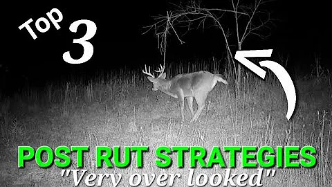 Top 3 Whitetail Post Rut Hunting Strategies