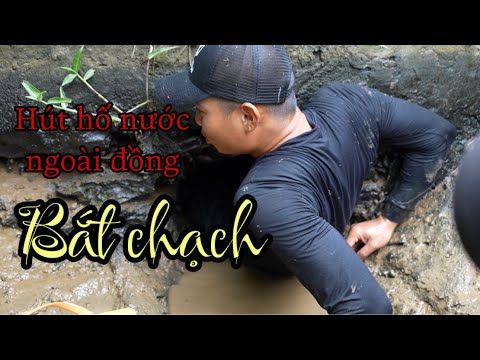 Hút hố nước ngoài đồng bắt chạch & ốc đi câu trắm đen