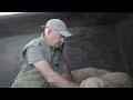  The Triumphant Return of Elephants: A Century-Long Journey