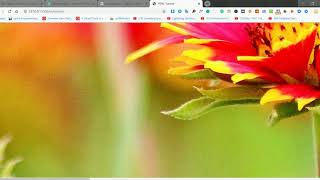 HTML 5 | Lesson 7 | Images in html 5 | Image Tag | Figure Tag | Figure Caption