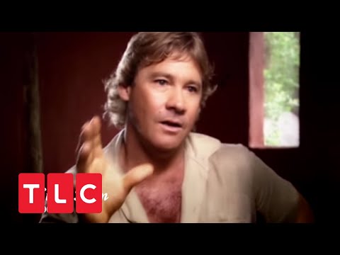 what happend to steve irwins death footage what happend to steve irwins death footage