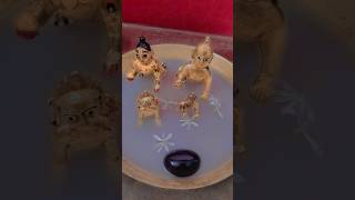 Daily Laddu Gopal Seva Routine at Home 🙏#laddu #gopal #sewa #puja #home #viralreels