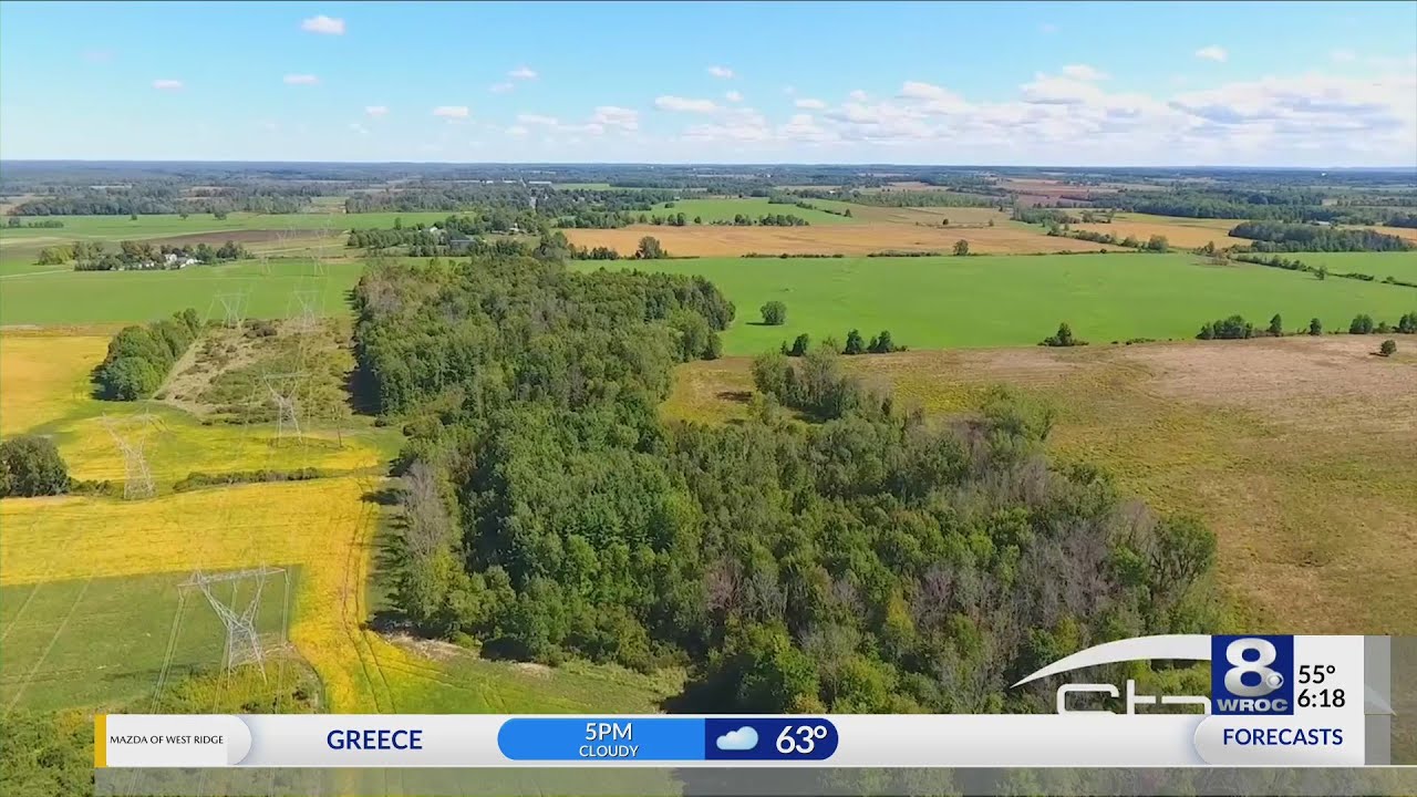 Plug Power's massive investment to create new jobs in Genesee County YouTube