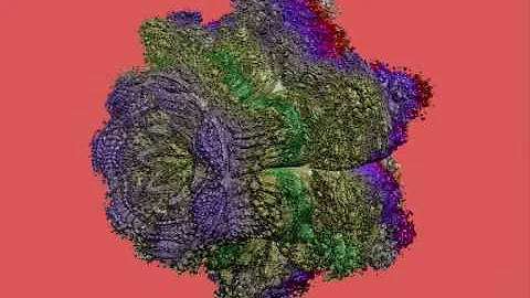 artichoke.wmv