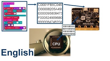 Numbers and Micro:bit