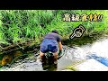 海に近い綺麗な川に潜む高級食材を使って、絶品パスタ作ってみた！！