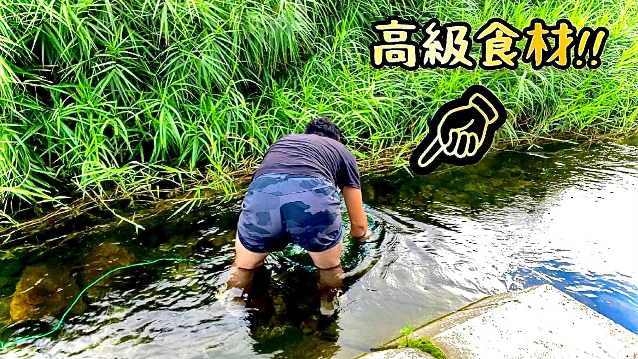 海に近い綺麗な川に潜む高級食材を使って、絶品パスタ作ってみた！！