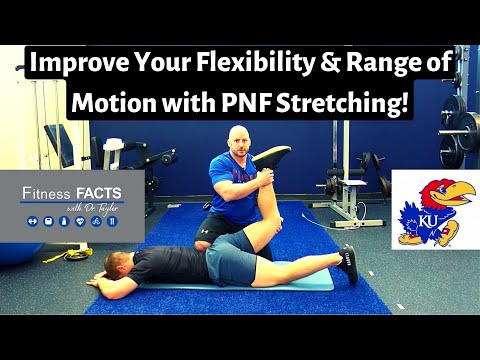 Proprioceptive Neuromuscular Facilitation PNF Stretching Improves Flexibility Range Of Motion 
