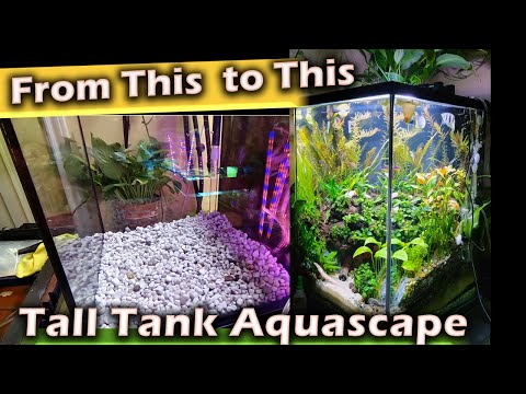How to Aquascape a Tall Tank with an Under Gravel Filter. Created