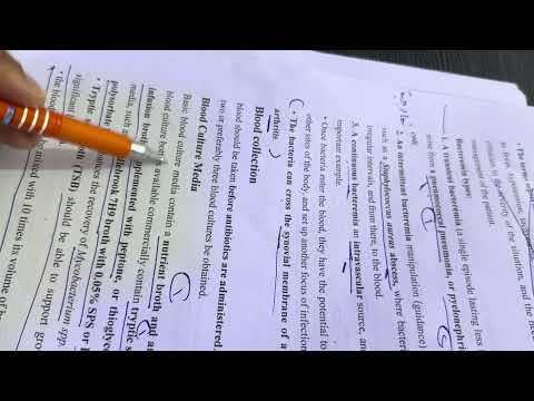 شرح محاضرة البكتريا التشخيصية النظري 14 15 مرحلة رابعة وزاري حسب الحقيبة