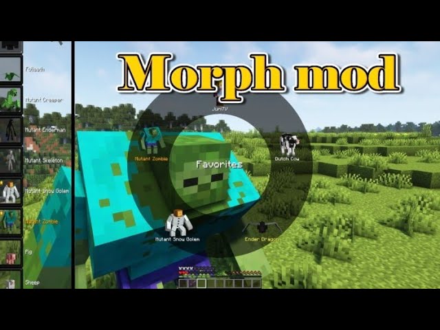 Morph Mod (1.16.5)