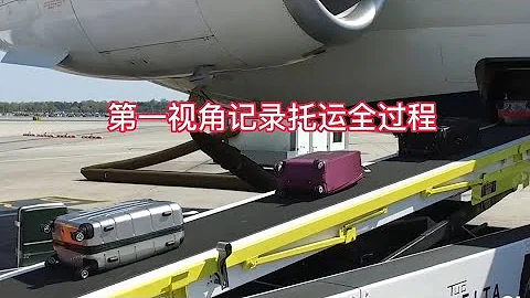 行李箱第一视角记录下乘机时行李被托运的全过程 - 天天要闻