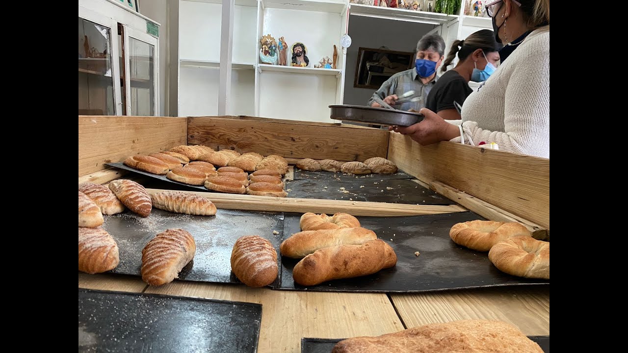 El día de hoy vamos con rumbo a la panadería “La Jarochita” para