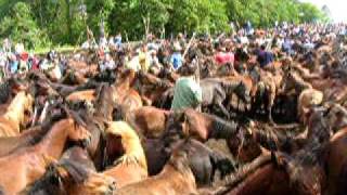 curro torroña 08
