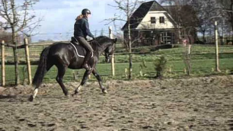 Karmie Stroeve op Eagle