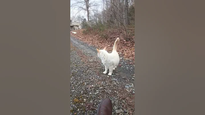 Booker Driveway Walk Feb 2022