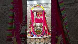 #BhiMahakal #UjjainMahakal #Mahakal #Mahadev #HarHarMahadev #Trending #Shorts #Reels #Viral #ree